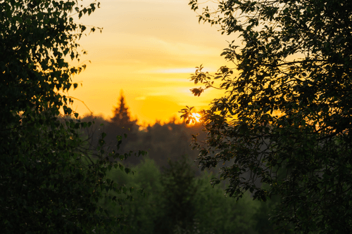 Dawn