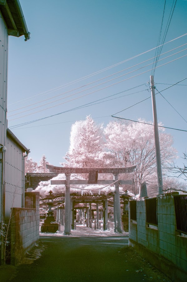 YUUUI's Infrared Photography Collection