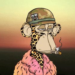 Ape Drops 01 : Snoop Dogg Ape Tracks collection image