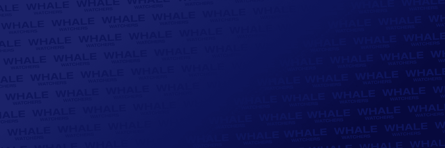 whalewatchers.eth banner