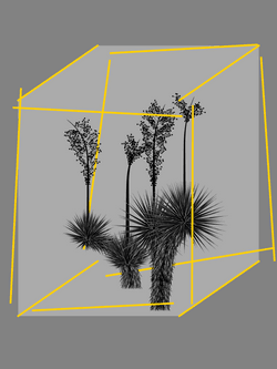 Marfa Yucca by Daniel Calderon Arenas collection image