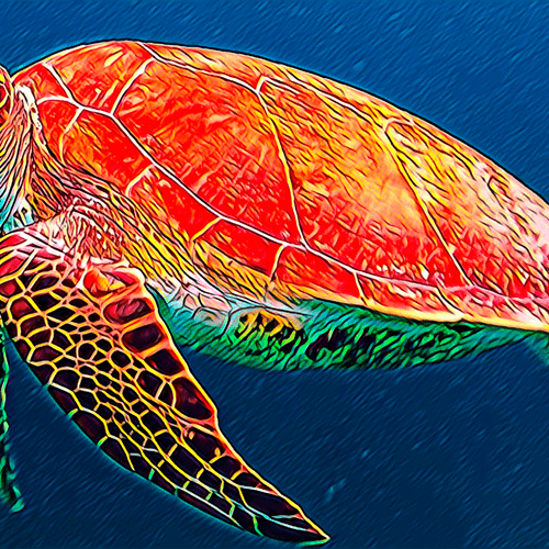 Alpha Turtle image