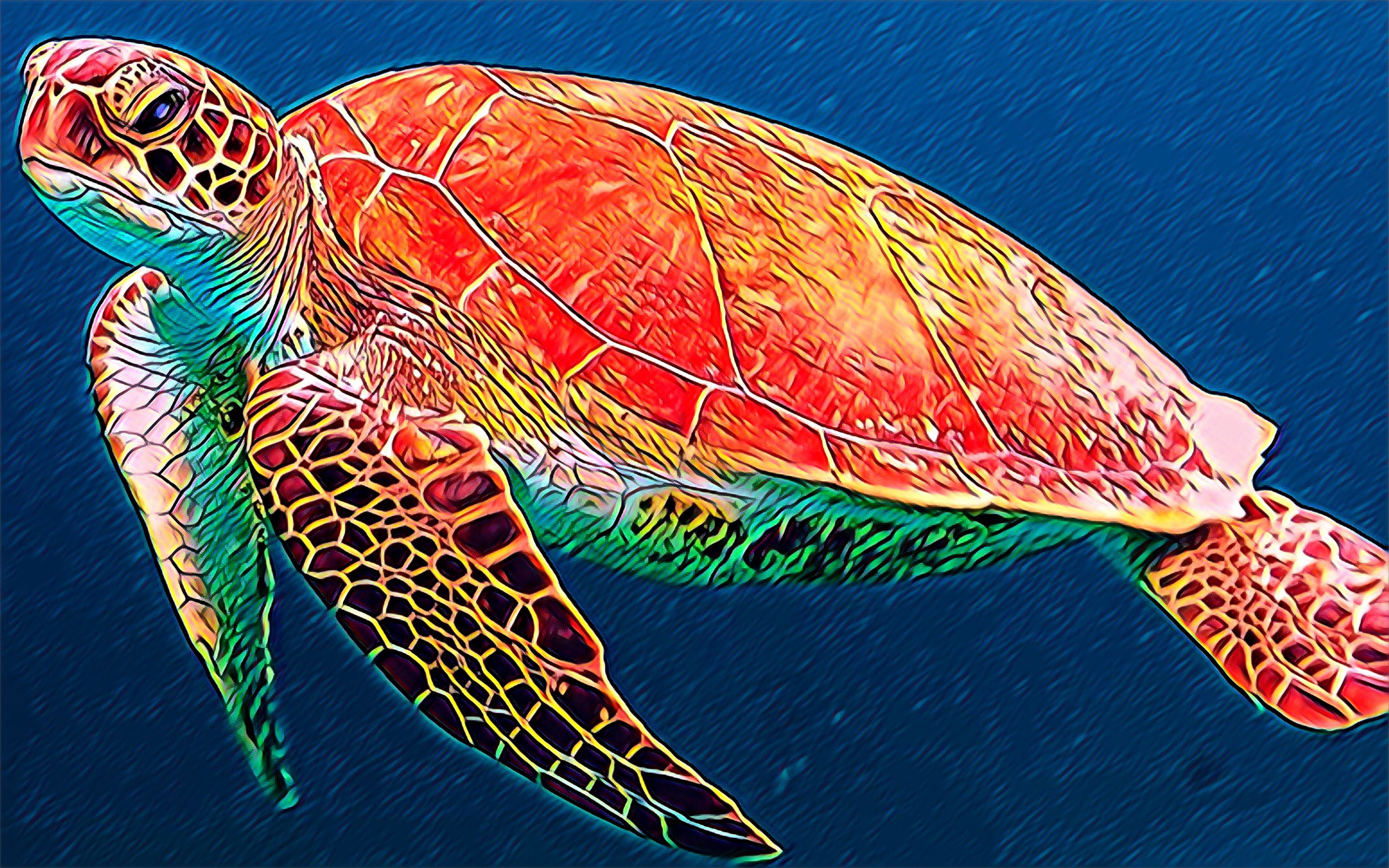 Alpha Turtle - BoxGallery | OpenSea