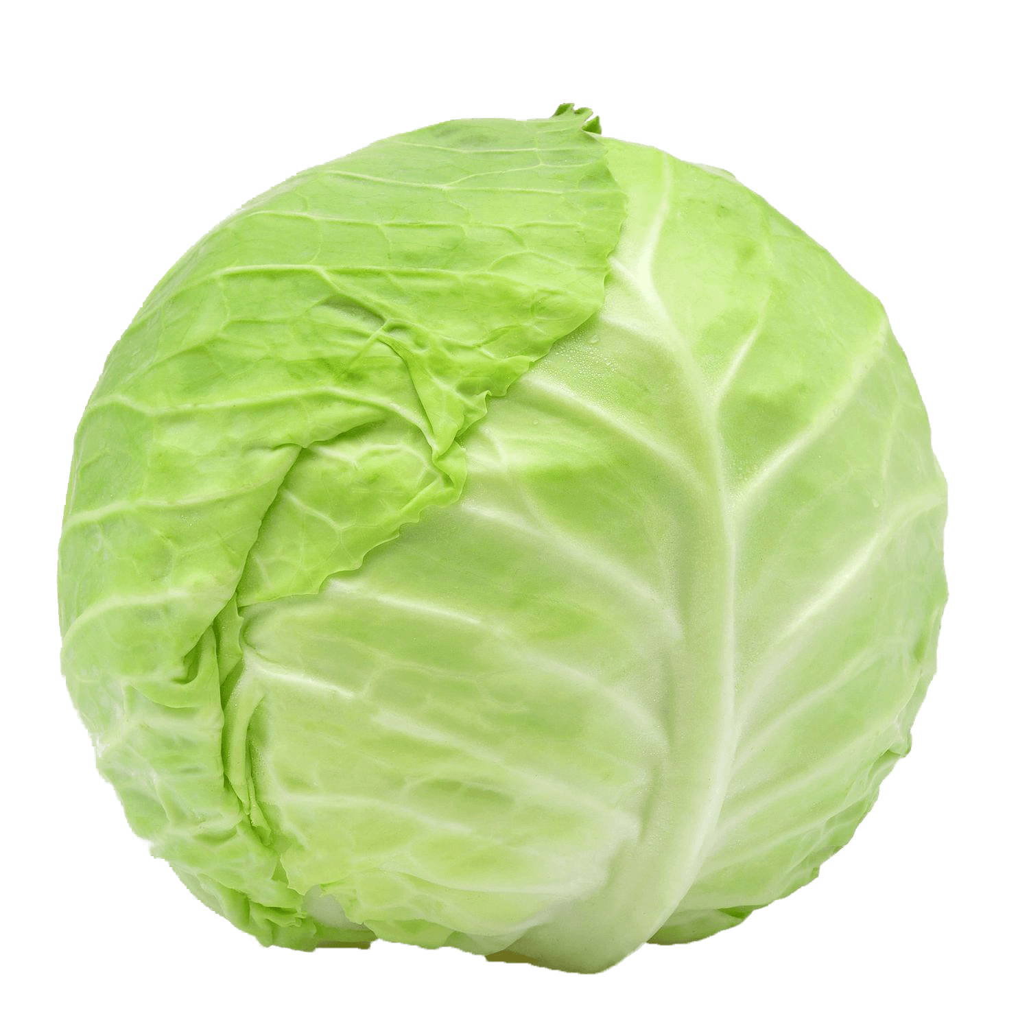 CabbageMan