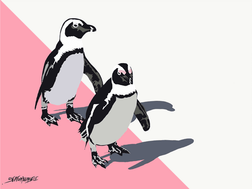 Penguins love 1of1