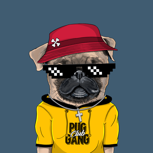 Pug #0142