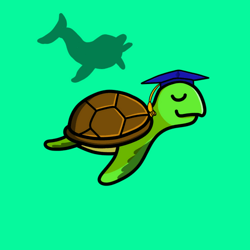 Toddler Turtle #36