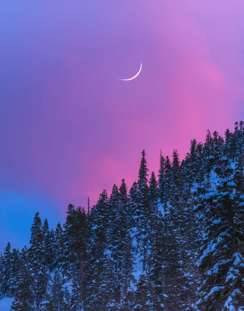 Winter Crescent #20