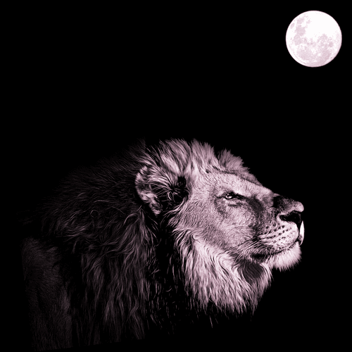 The King