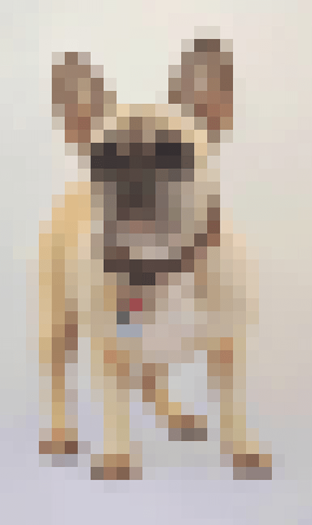 Digi Doge 1.0 Base Breed Frenchie #0010 PIXEL RARE!