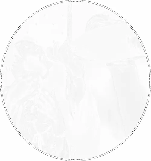 Polaroid Nights: Life In An Instant