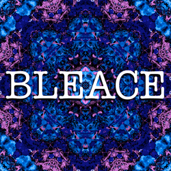 Bleace collection image
