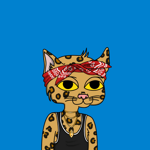 Lil Baby Cat Gang #1111