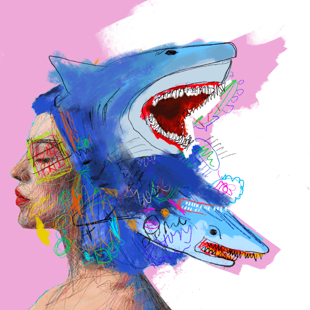#8 Shark