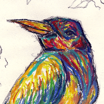 Birds of Treasure