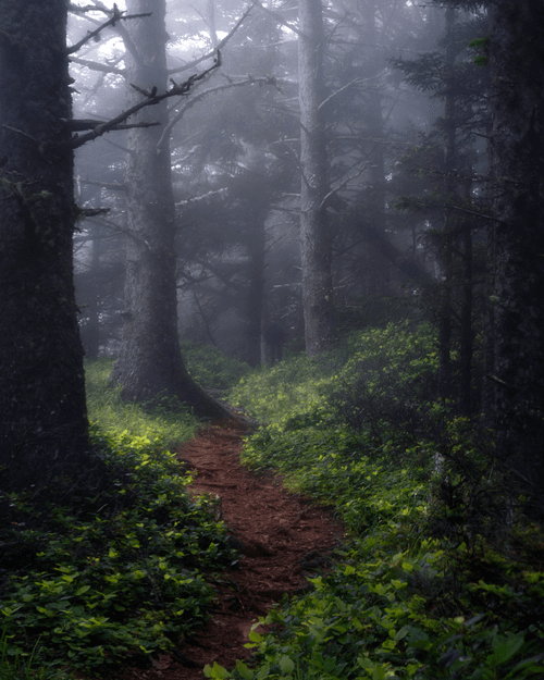 Pathway to Heaven