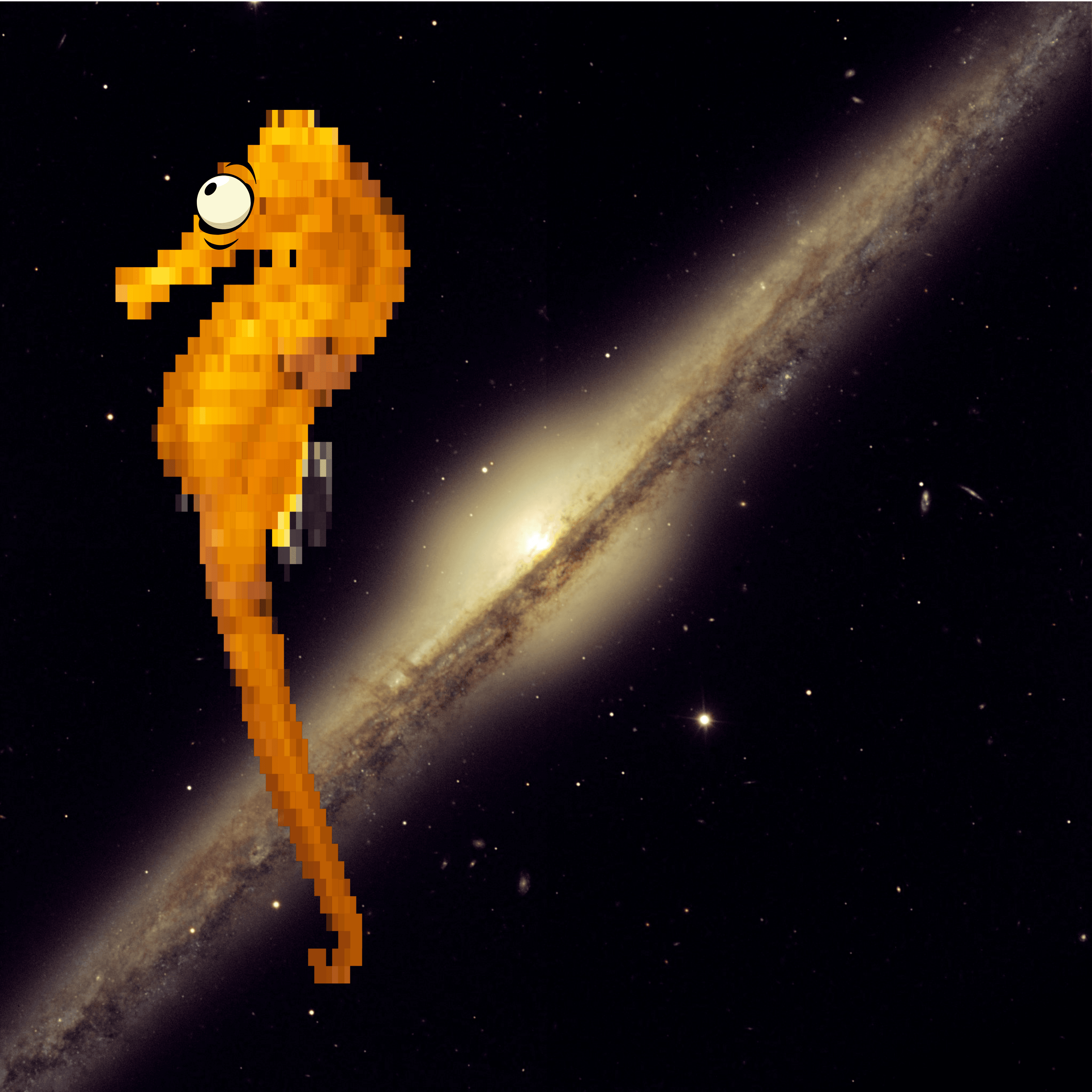 Seahorse in Space XIV