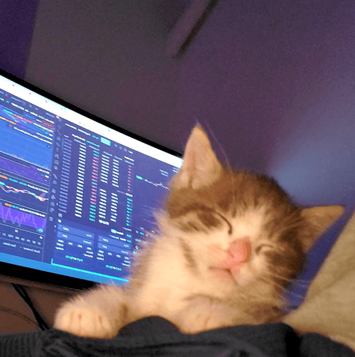 Bullishkitty