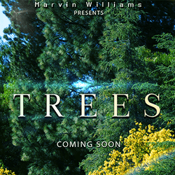 BMEP: Trees (A Planetary Treasure) collection image