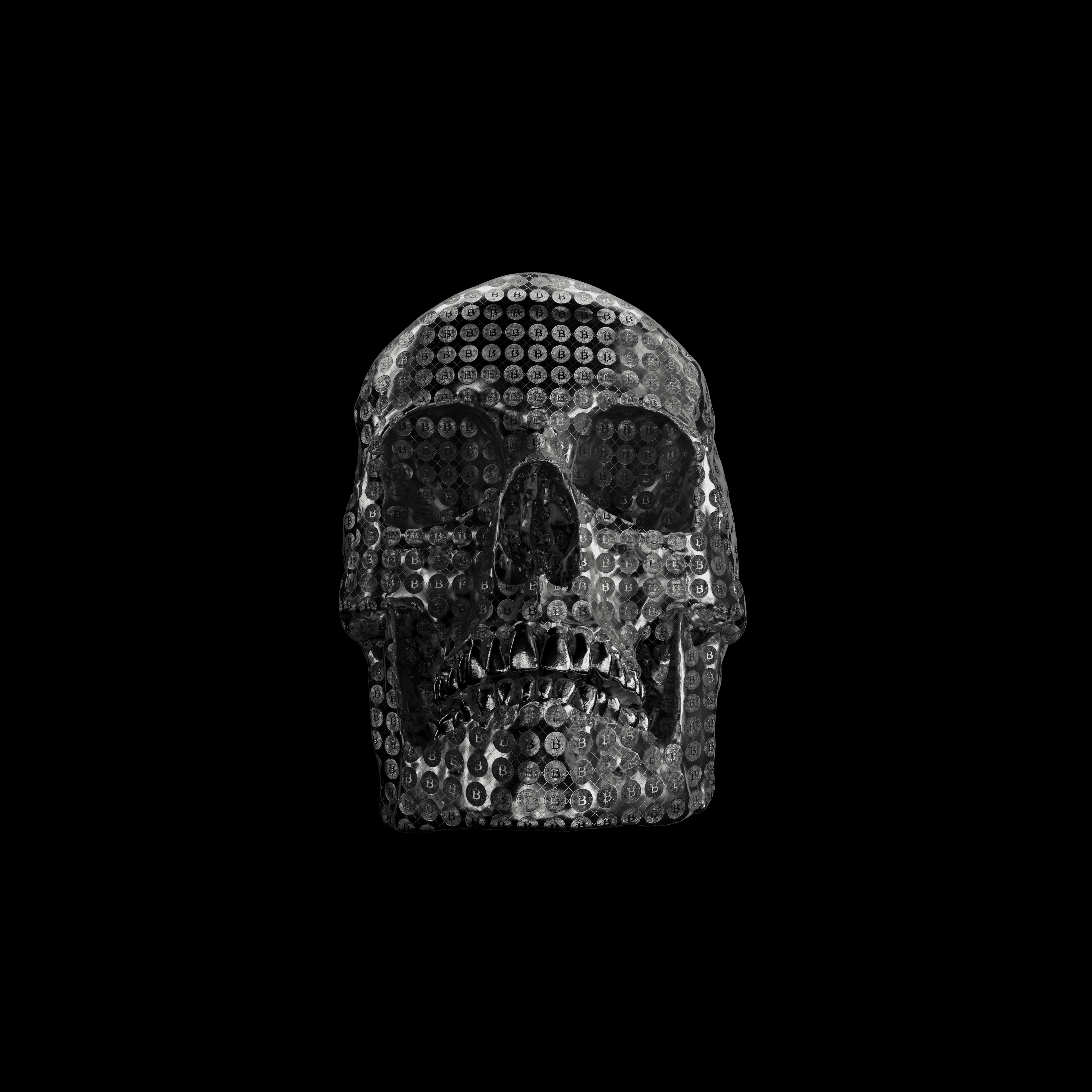 Silver Crypto Skull