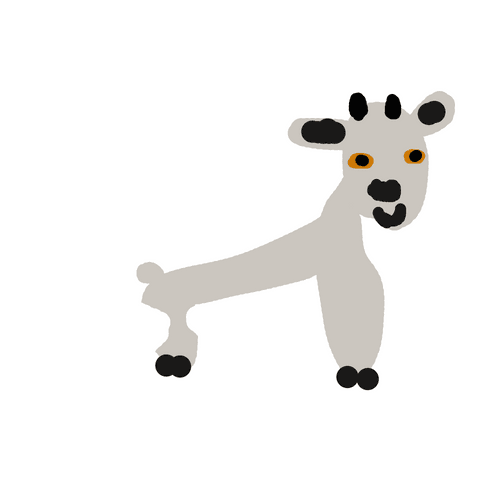 Pygmy Goat