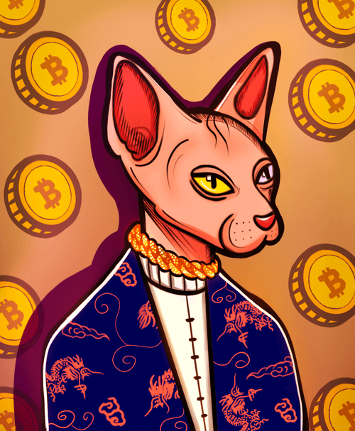 Sphynx Gangster #32