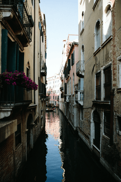 Venice: MorganPansing collection image
