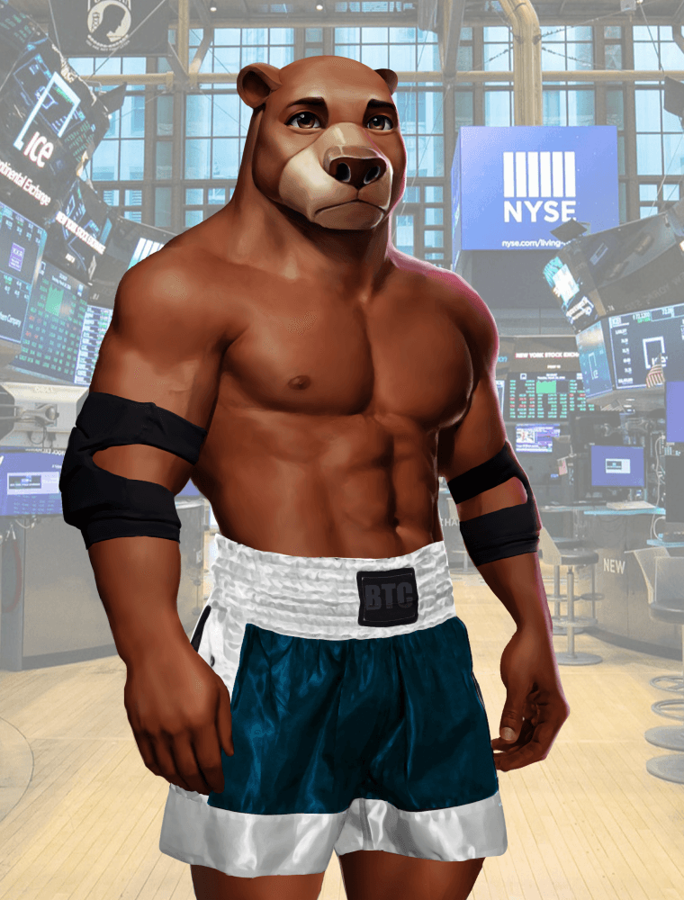 Wall Street Avatar Fighter Bear #644