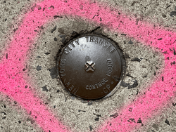 Survey Markers collection image