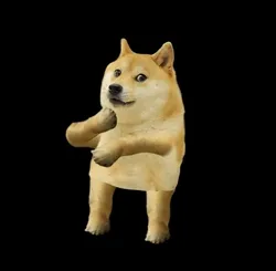 Doge of Doge collection image