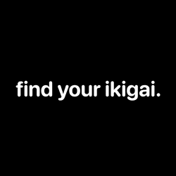 find your ikigai. collection image