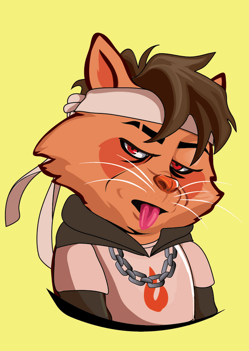 Raccoon-286