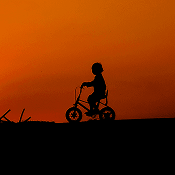 Silhouettes of A Family