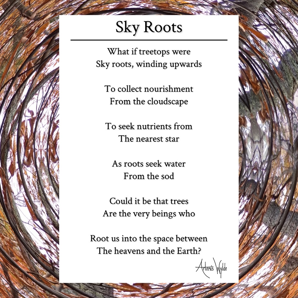 Sky Roots