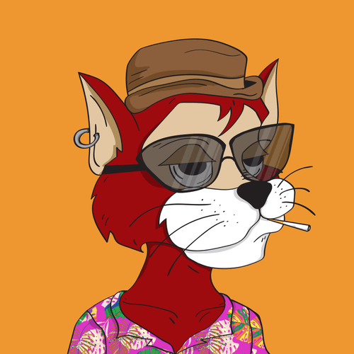 The Crazy Cat Club #0593