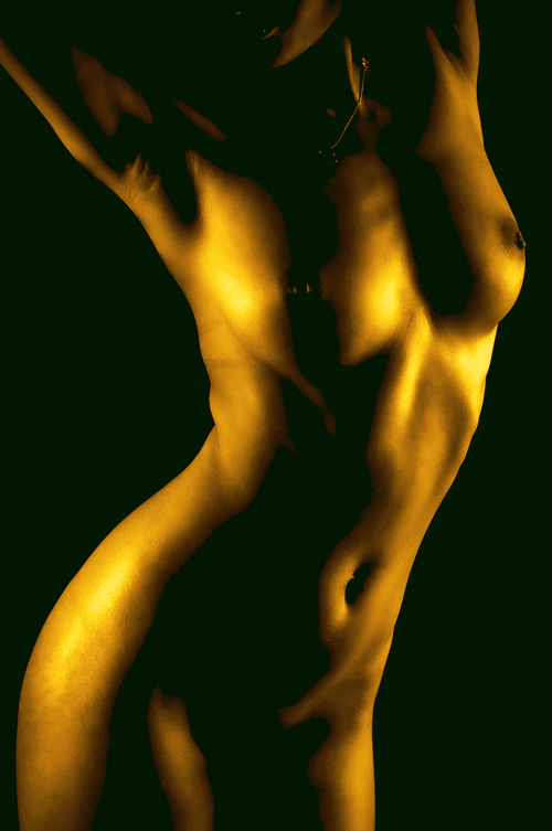 The Body