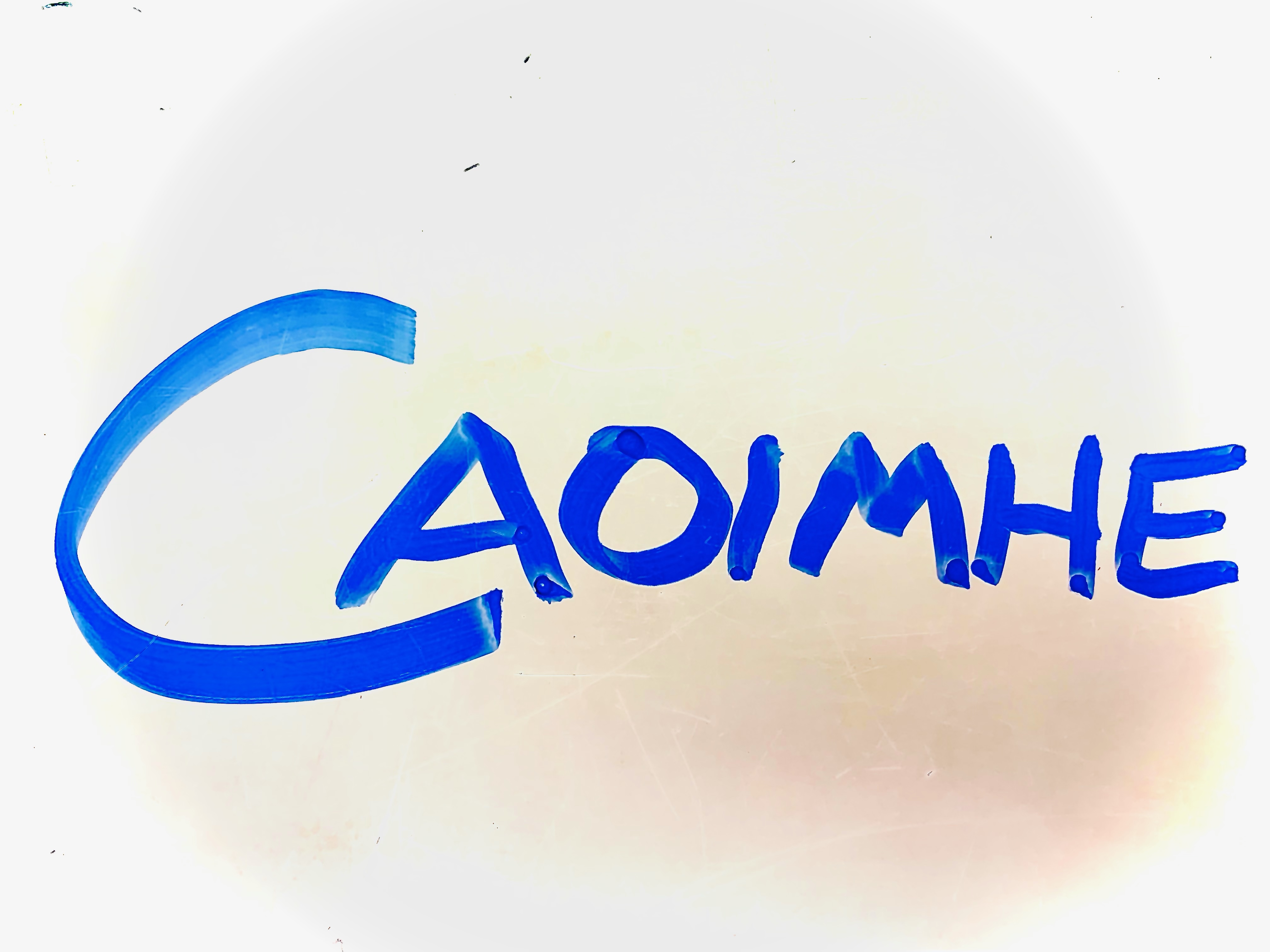 caoimhefirstedition Collection OpenSea