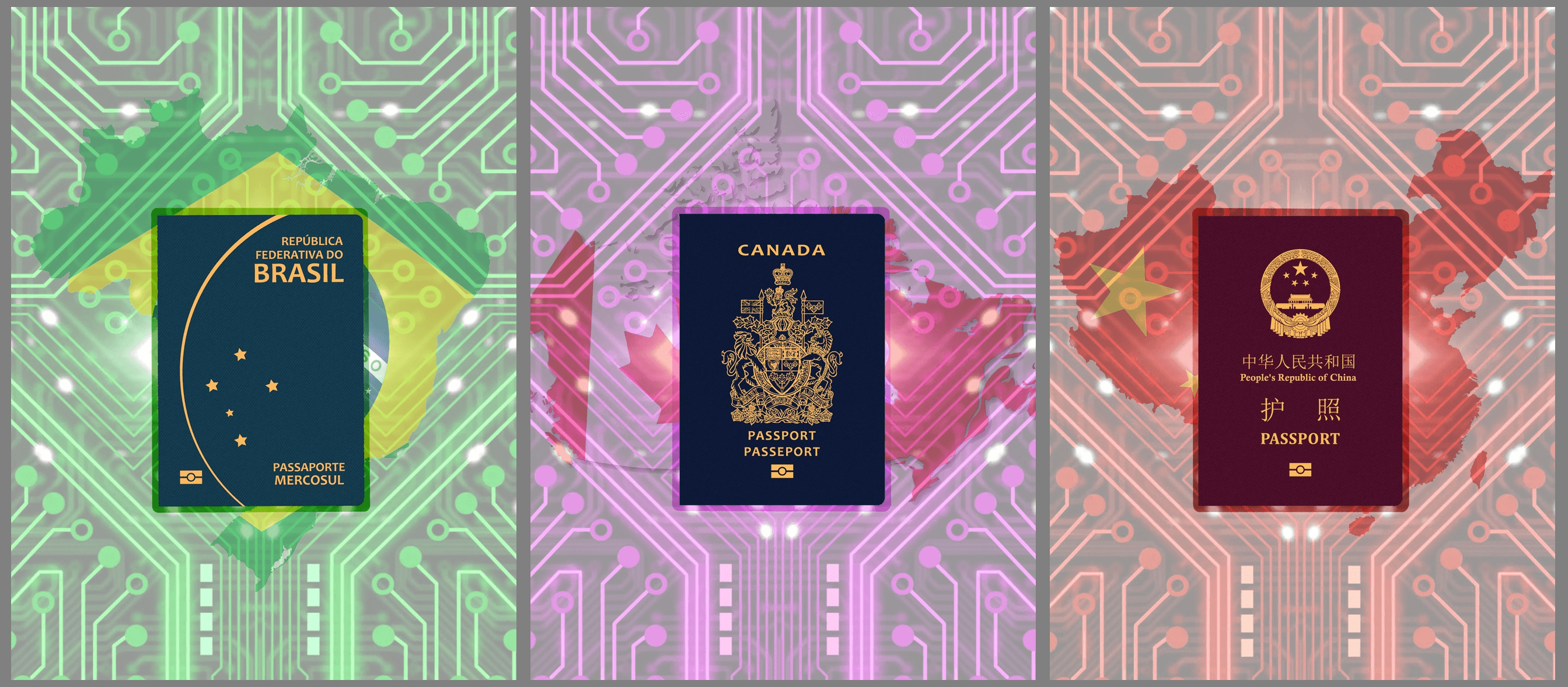 Crypto Passports NFT Collection OpenSea