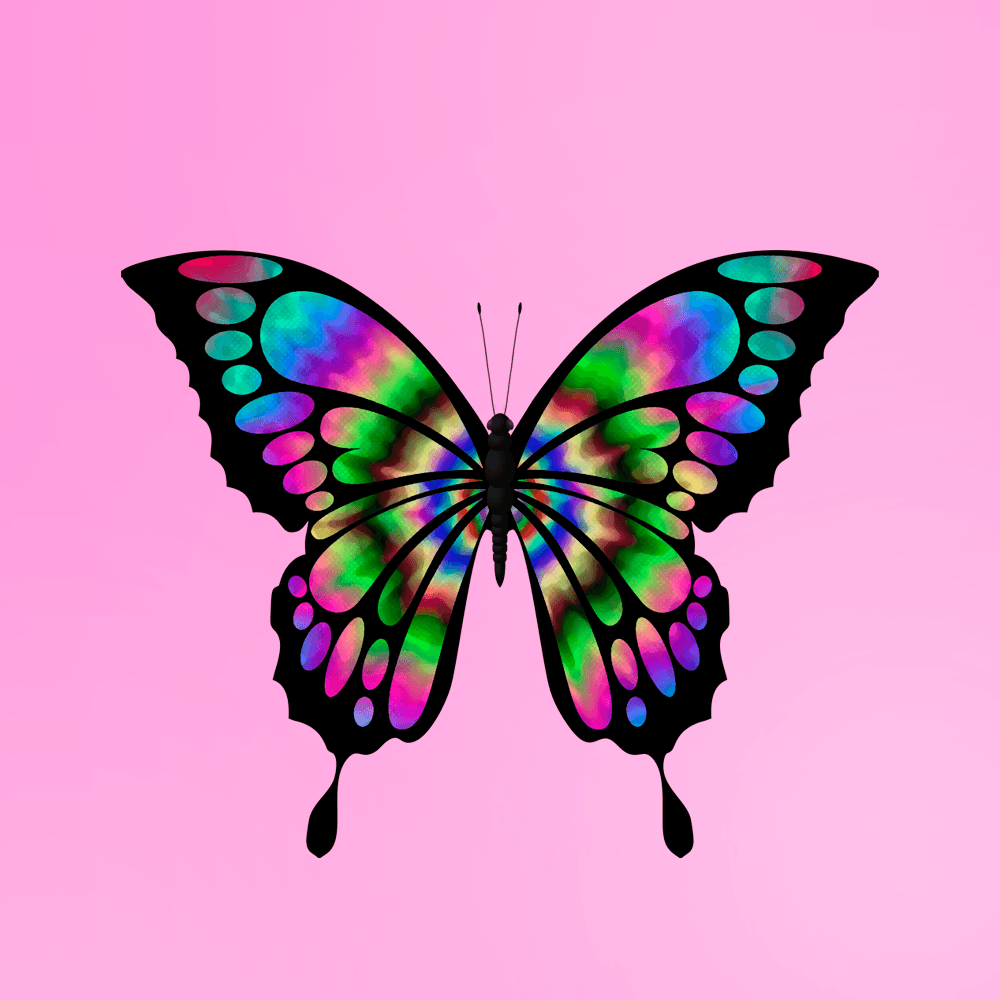 butterfly coin crypto