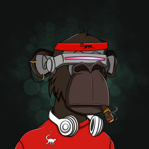 Elite Ape #31538