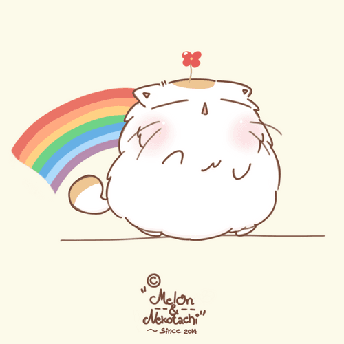 MelOn & Rainbow