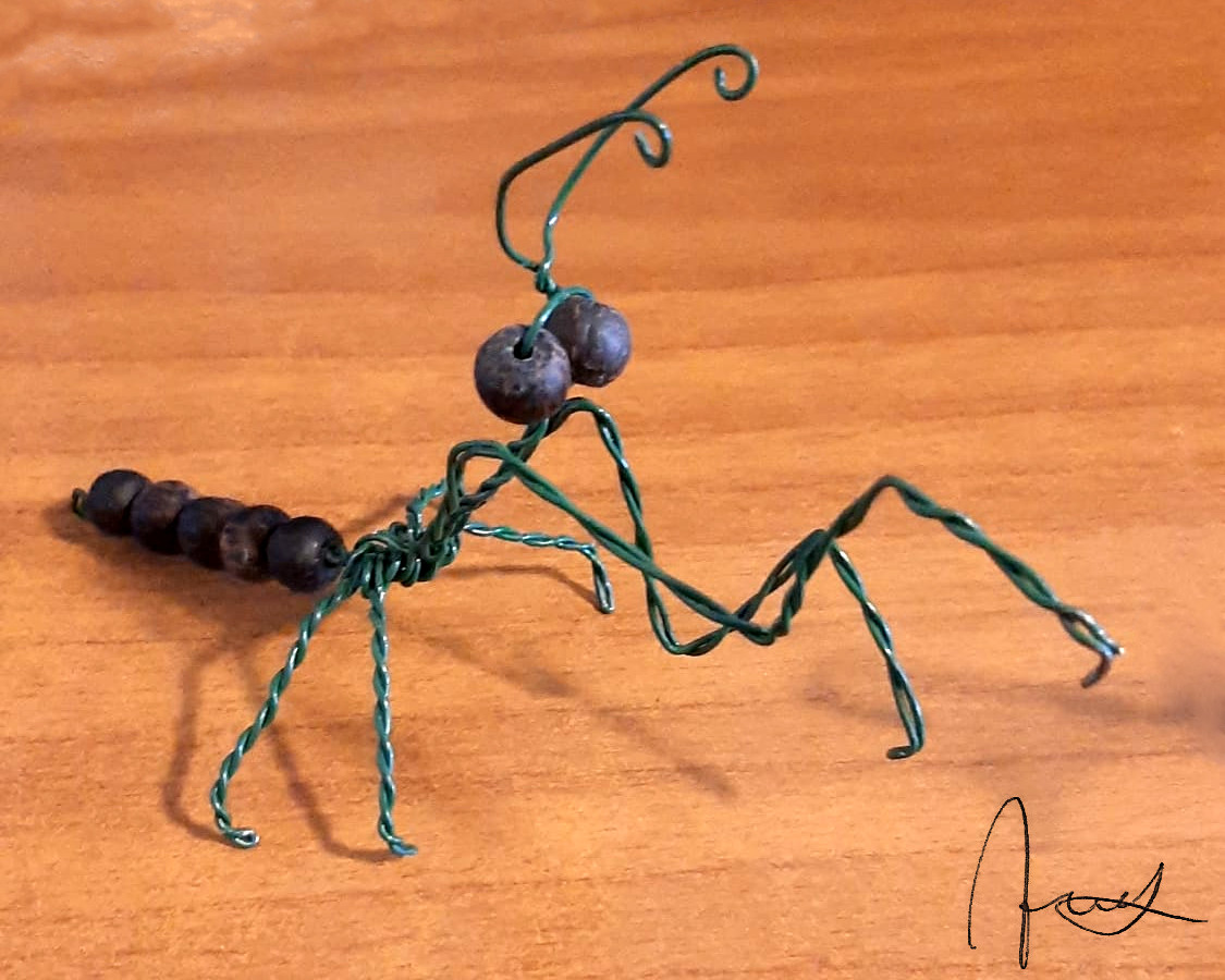 Ant-mantis #3