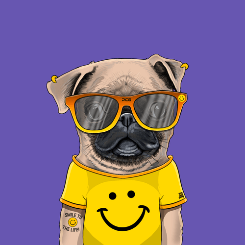 Pug #0041