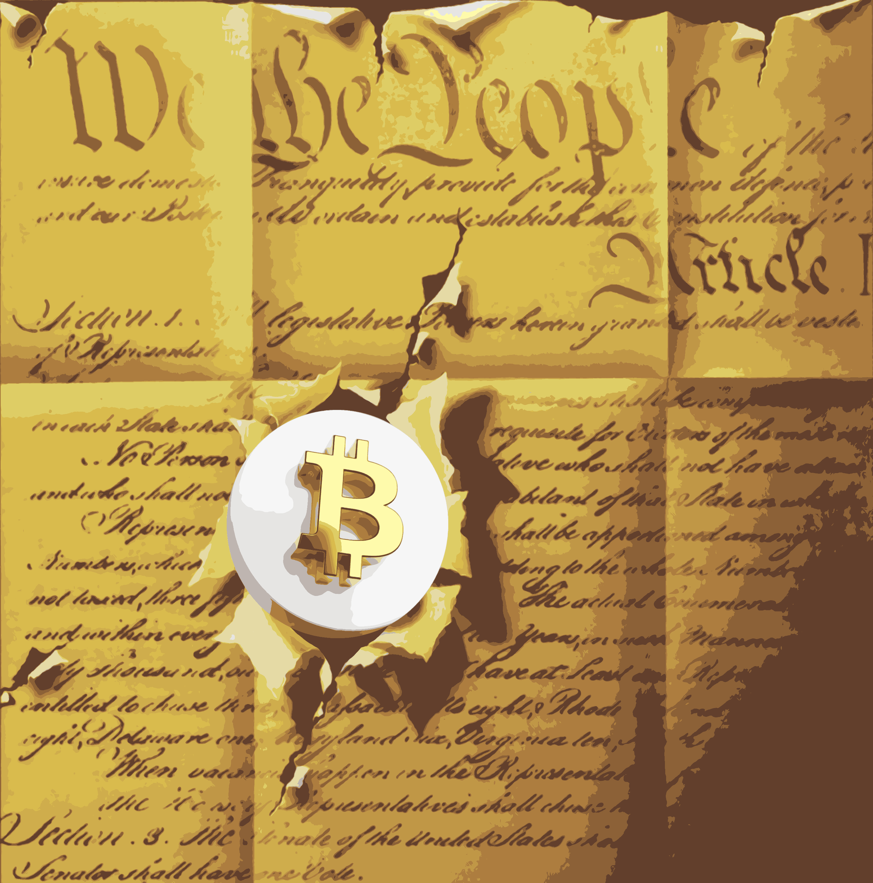 Bitcoin Constitution