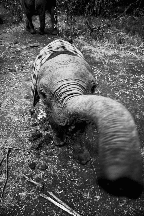 B&W Africa - #19 - Give me that camera!