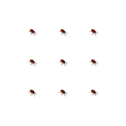 Just tick collection image