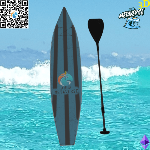 3D Paddleboard from AquaMetaverse 2