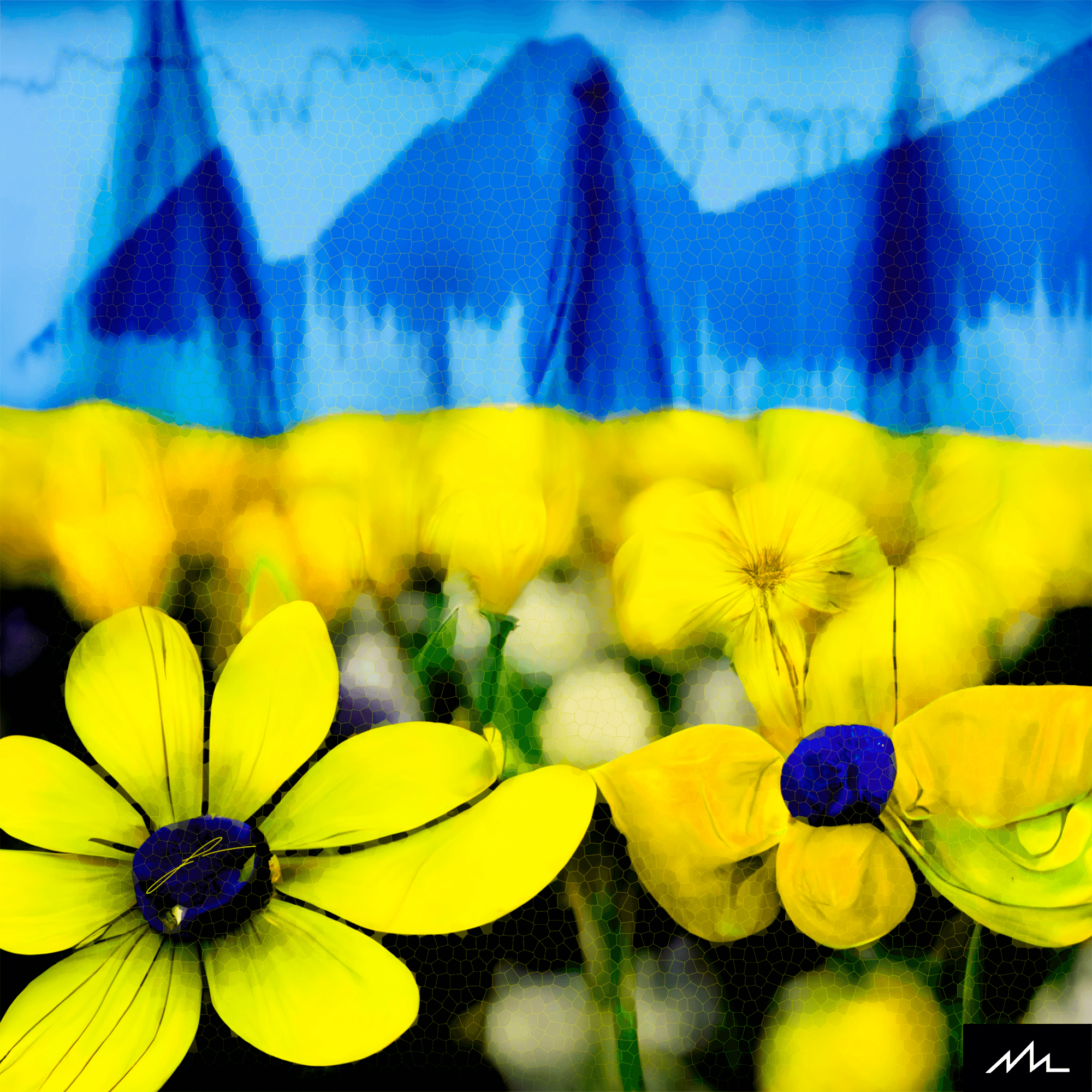 Field of Yellow and Blue