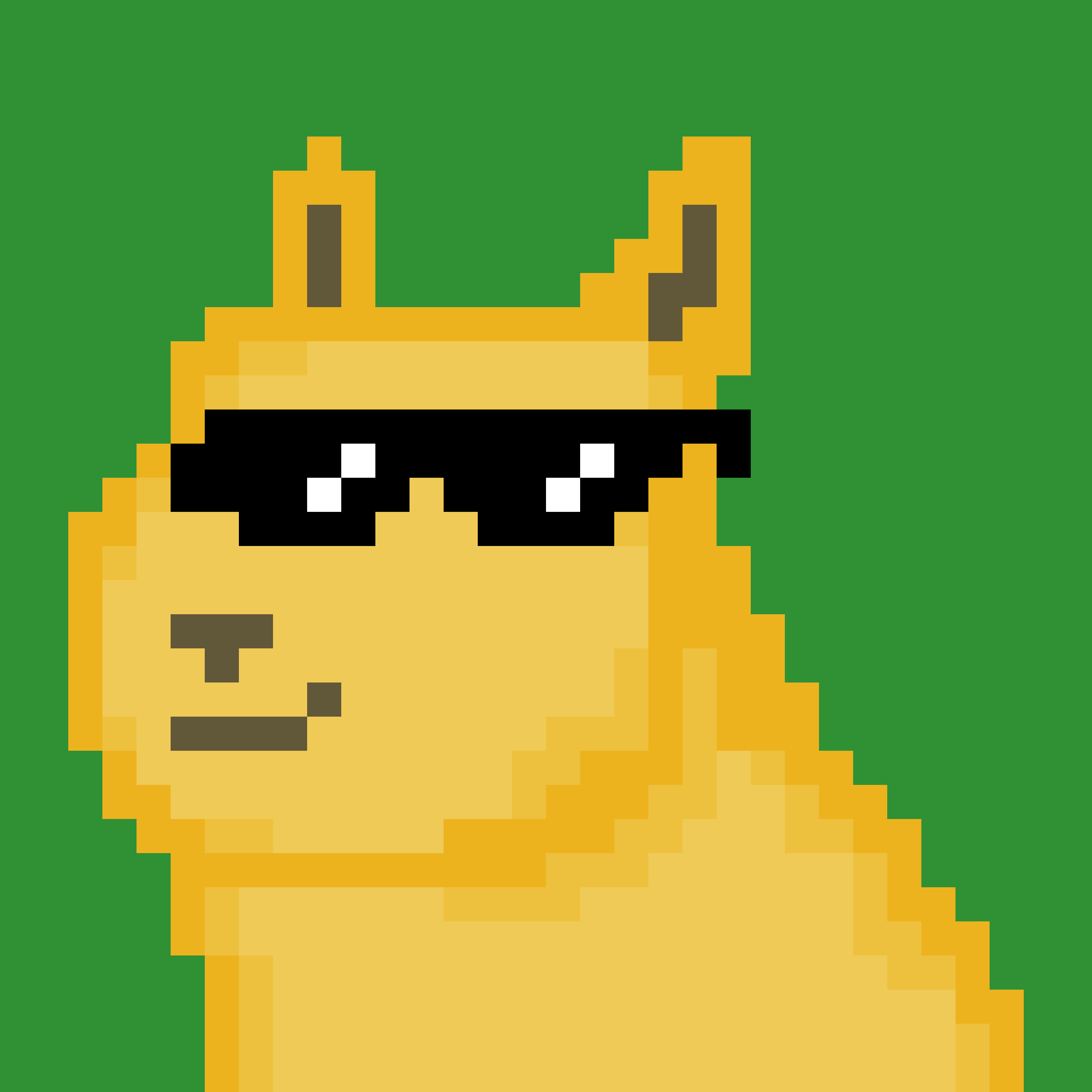 Doge NFT collection #1 - Collection | OpenSea