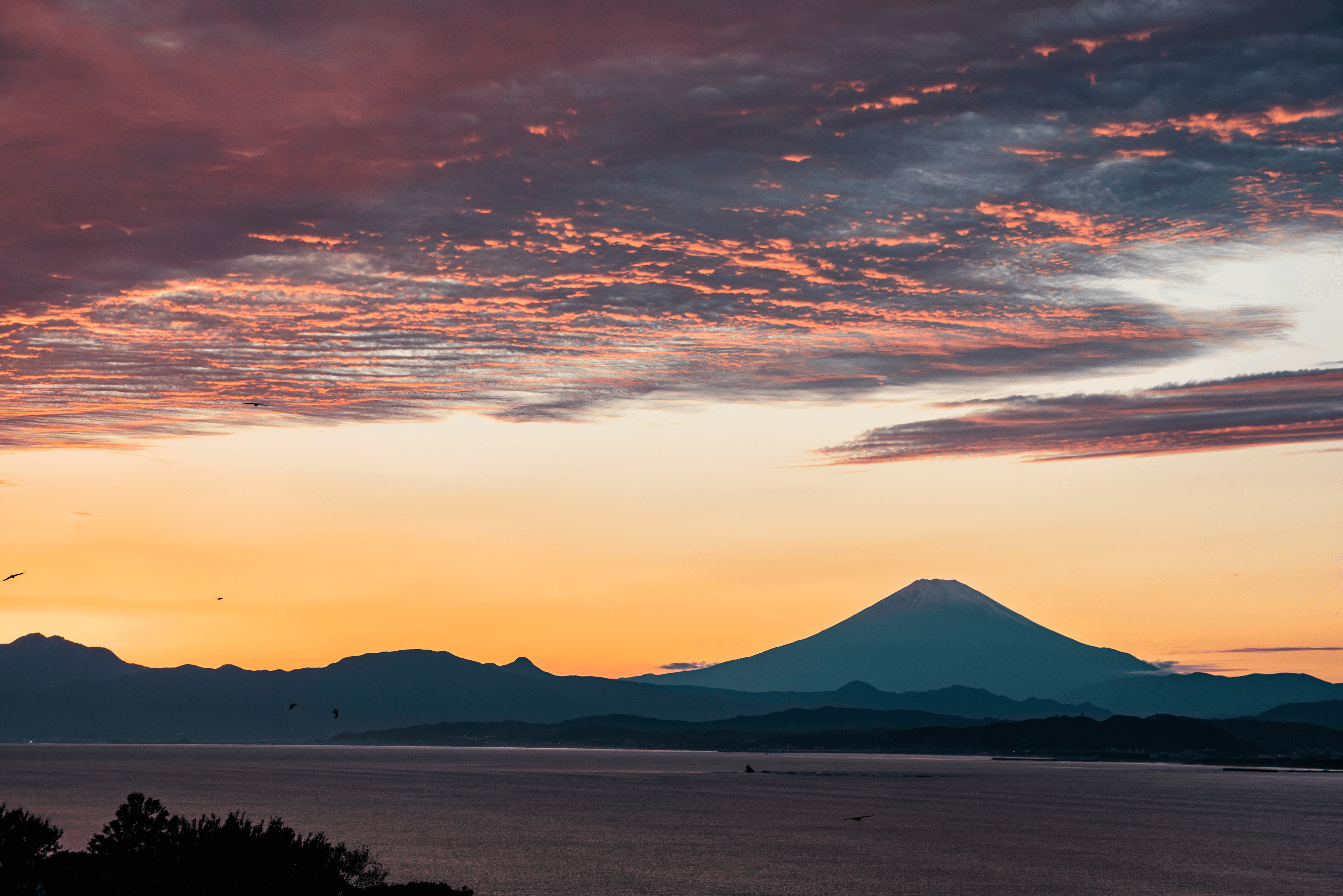 Mt.Fuji, sea and sunset